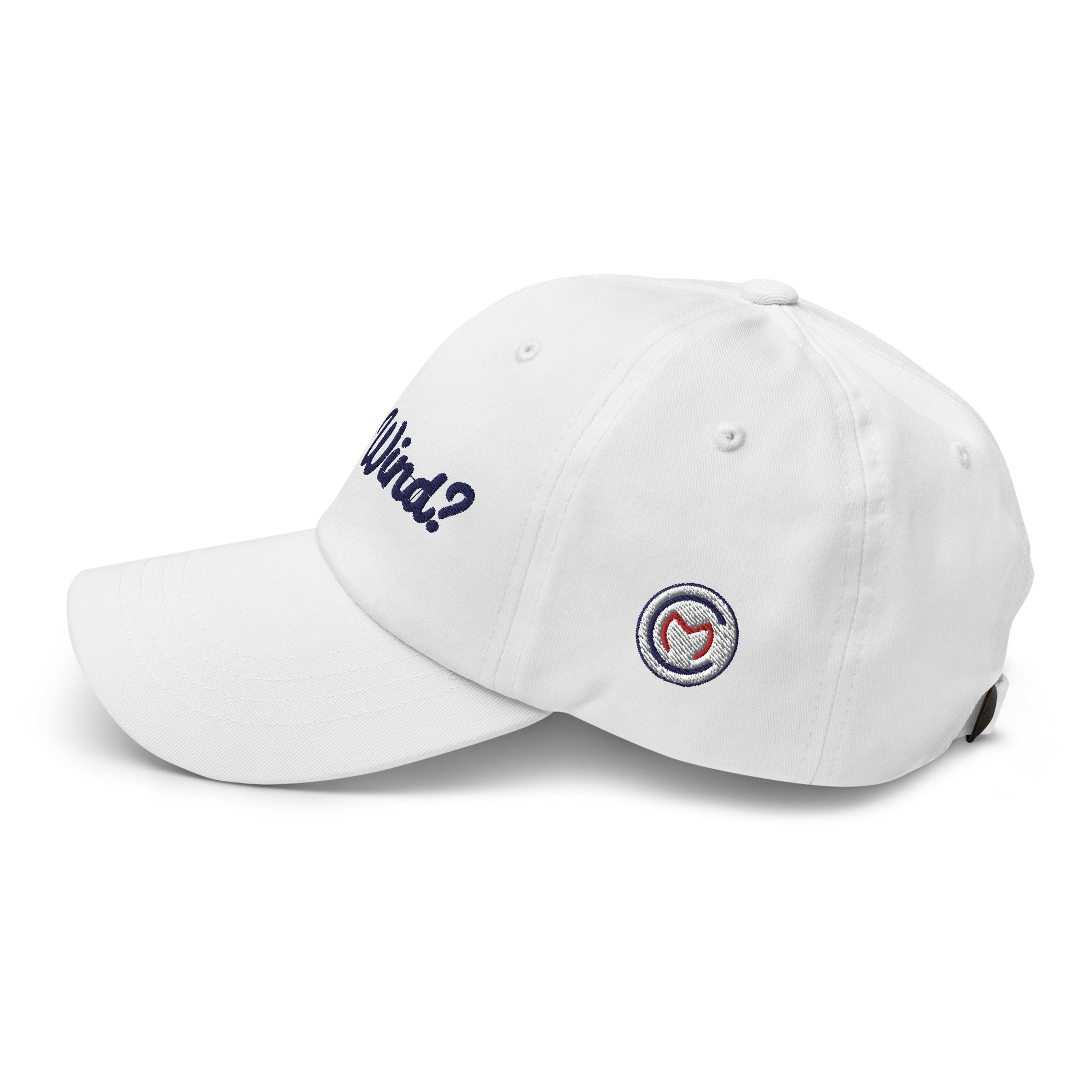 Got Wind? Cap